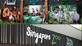 Singapore Zoo in Singapore